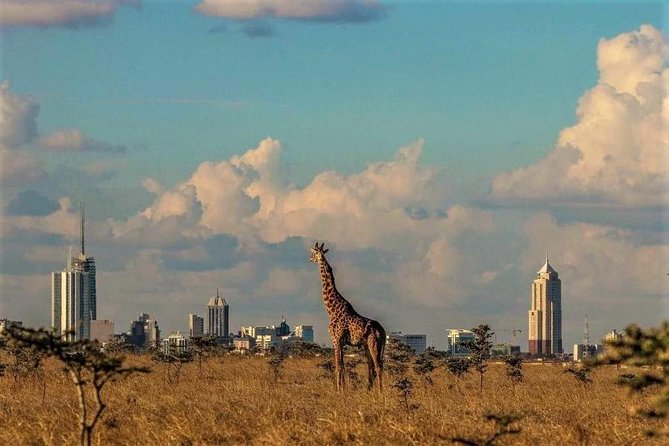 Tour: Giraffe Center and Nairobi National Park - Safari Car and Roof