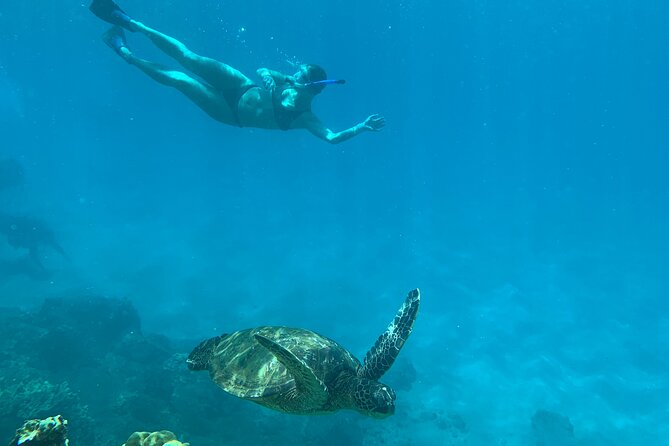 Turtle Town Snorkel With Photo and Video - Snorkeling Experience