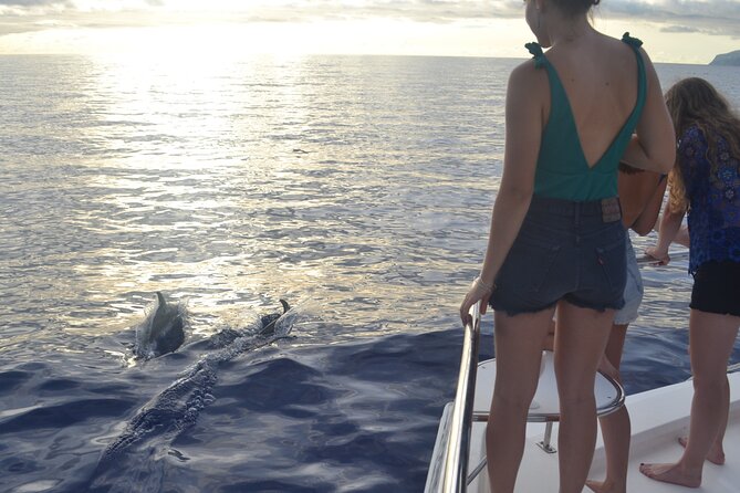 VipDolphins Luxury Whale Watching - Cancellation and Refund Policy