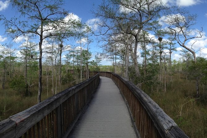 Western Everglades Adventure Tour - Nature Walk Experience