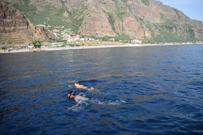 Whale and Dolphin Watching Tour in Madeira - Family-Friendly Experience
