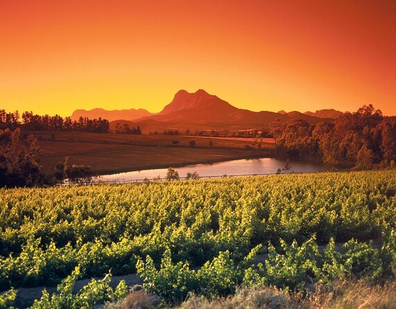 Wine Tour: Paarl, Franschhoek & Stellenbosch Incl 3 Wineries - Tour Duration and Size