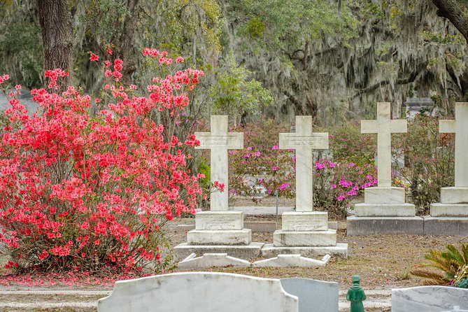 Wormsloe Historic Site & Bonaventure Cemetery Tour From Savannah - Customer Reviews