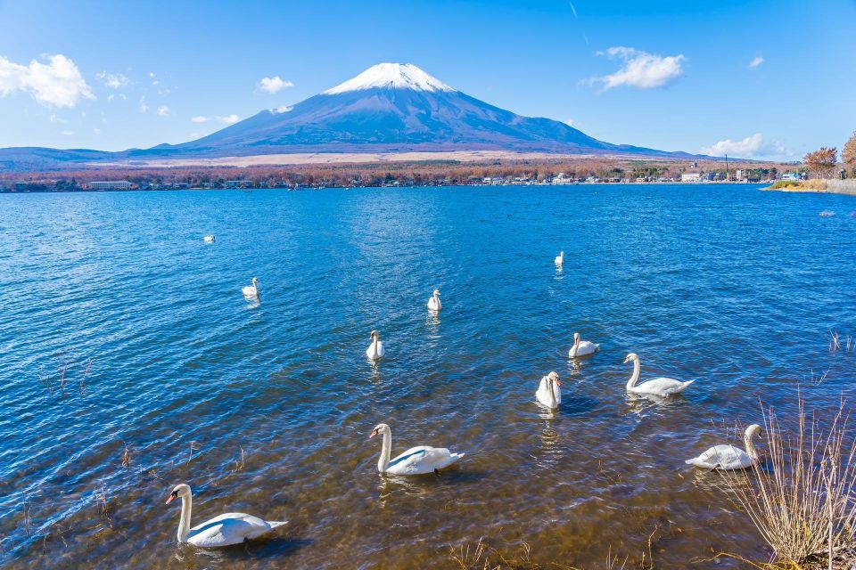 1-Day Trip: Mt Fuji + Kawaguchi Lake Area - Additional Information