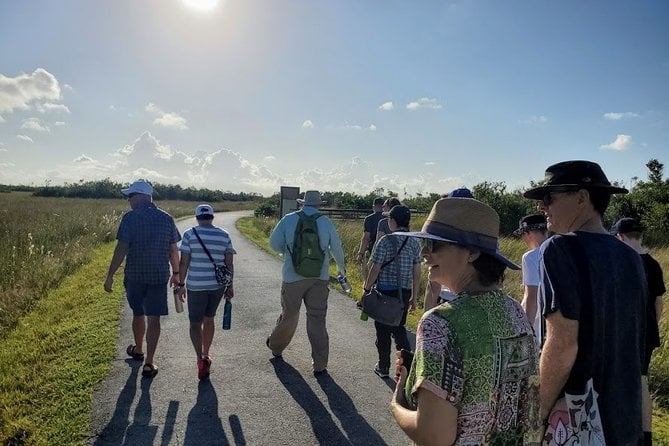 1-Hour Air Boat Ride and Nature Walk With Naturalist in Everglades National Park - What to Expect