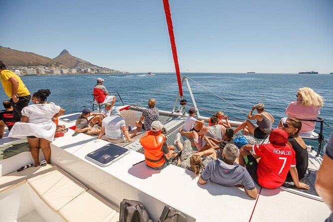 1- Hour Catamaran Cruise Cape Town - Scenic Views