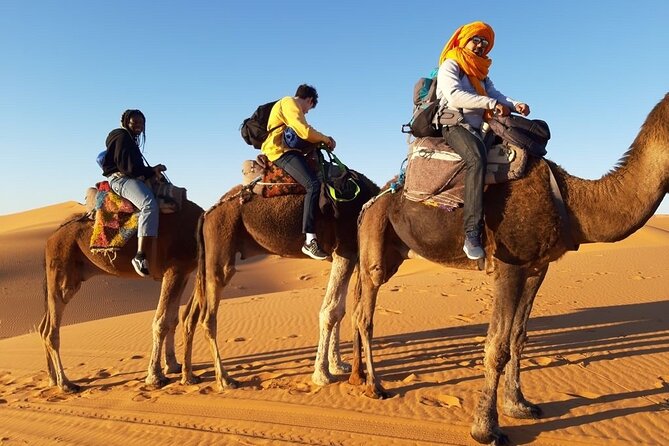 3-Day Circuit in the Sahara Desert of Merzouga From Marrakech - Agency Reputation and Reviews