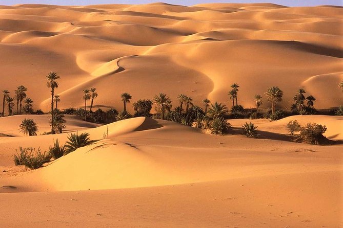 3-Day Sahara Desert To Merzouga From Marrakech - Pickup and Drop-off Arrangements
