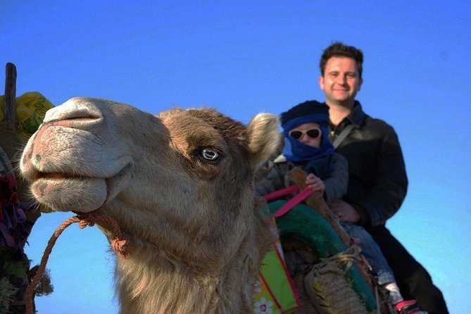 3 Hours Ride on Camel at Sunset - Tour Operator and Reviews