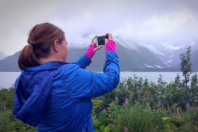 Afternoon Wilderness, Wildlife, Glacier Experience From Anchorage - Tour Inclusions