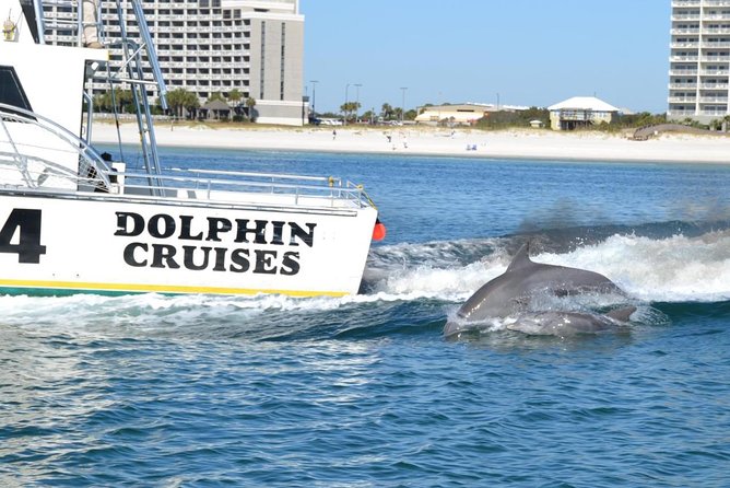 Alabama Gulf Coast Dolphin Cruise - Meeting Point and Departure