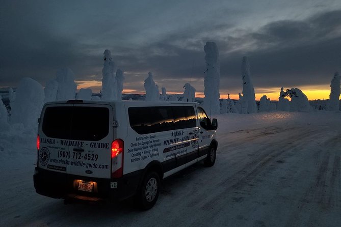 Arctic Circle and Northern Lights Tour From Fairbanks - Trans-Alaska Pipeline Insights