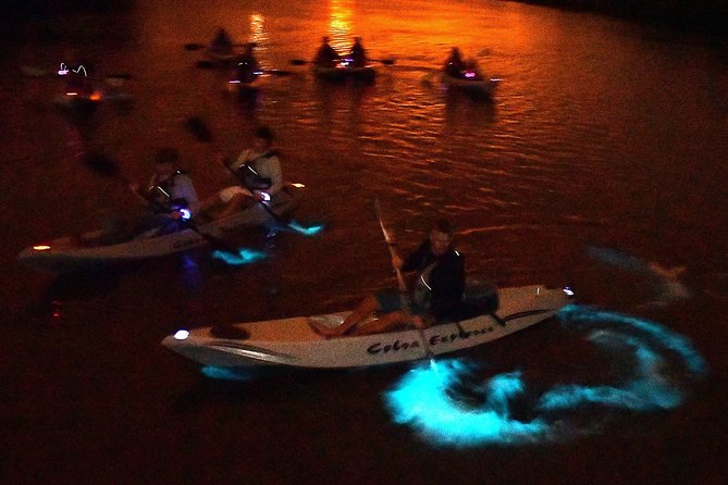 Bioluminescent Kayak Tour by THE #1 Rated Company in Cocoa Beach - Transportation Accessibility