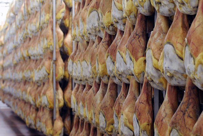 Bologna Food Experience: Factory Tours & Family-Style Lunch - Logistical Details