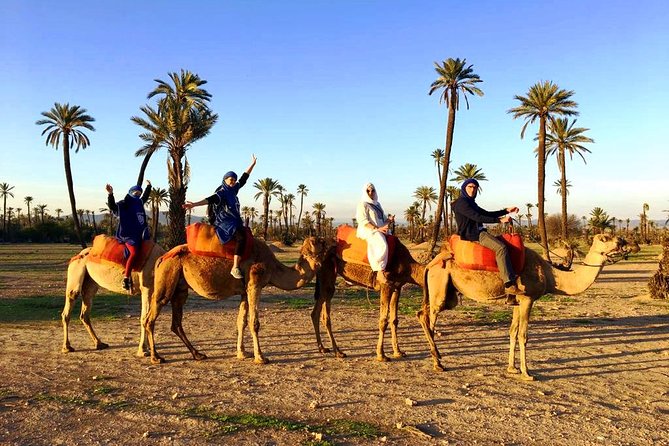 Camel Ride and Spa Treatment in Marrakech - Sipping Mint Tea in Tent