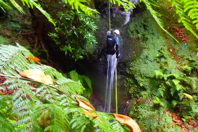 Canyoning Madeira Island - Level One - Physical Fitness Requirements and Restrictions
