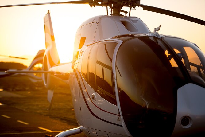 Cape Peninsula, Cape of Good Hope and Cape Point Scenic Helicopter Flight - Maximum Travelers per Tour