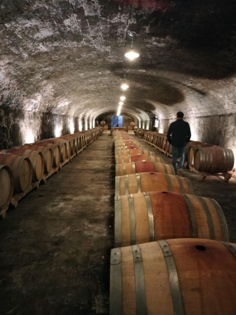 Châteauneuf-du-Pape: Exclusive Private Tour for Connoisseurs - Gourmet Luncheon