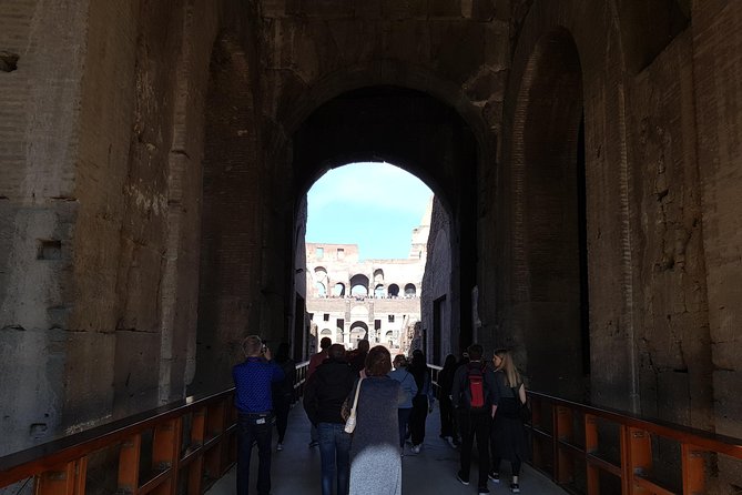 Colosseum Arena Floor, Roman Forum and Palatine Hill Guided Tour - Exclusive Arena Floor Access