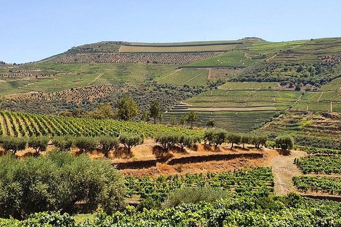 Complete Douro Valley Wine Tour With Lunch, Wine Tastings and River Cruise - Enjoying the Traditional Lunch