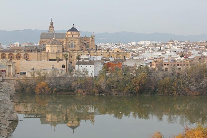 Cordoba & Carmona With Mosque, Synagogue & Patios From Seville - Discovering the Patios of San Basilio