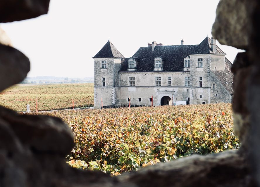 Côte De Beaune and Côte De Nuits: Private Full Day Wine Tour - Inclusions and Exclusions
