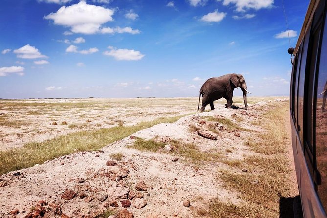 Day Tour to Amboseli National Park - Booking Information