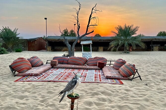 Desert Safari Abu Dhabi W/ Sand Boarding, Camel Ride & BBQ Dinner - Camel Ride Experience