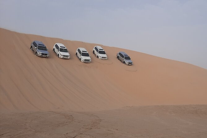 Desert Safari and Inland Sea(Private Tour) - Inclusions and Exclusions