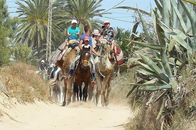Discovery Ride on Horseback or Camel 2h30 - Animal Welfare