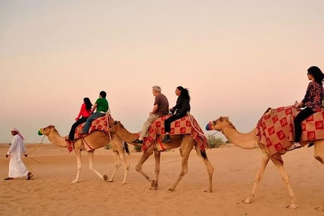 DXB Red Dune Desert Safari, Sand Boarding, Camel Ride, Live Shows, BBQ Dinner - Dining Experience