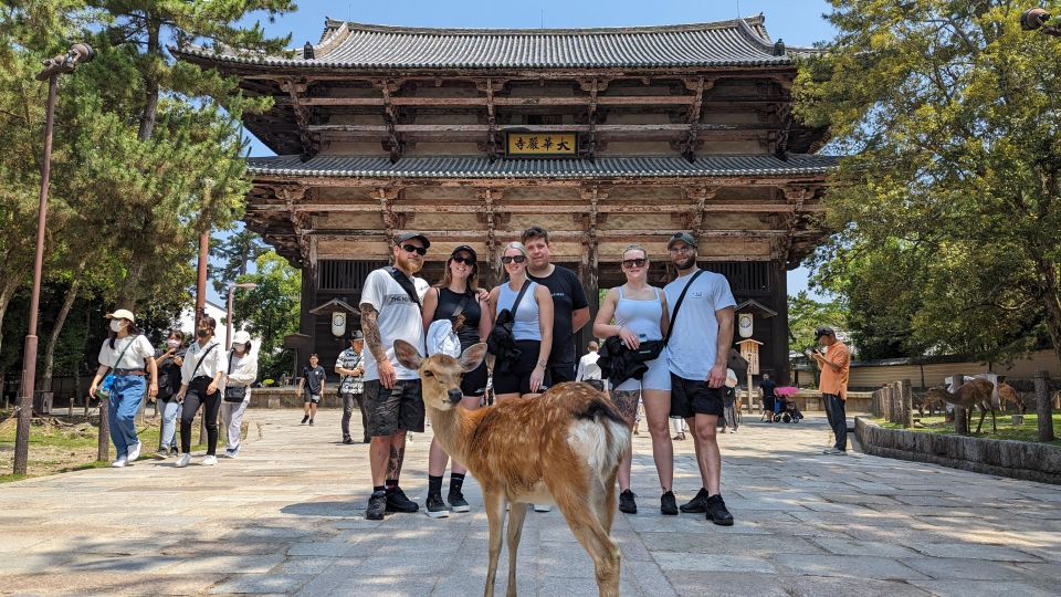 E-Bike Nara Highlights - Todaiji, Knives, Deer, Shrine - Deer Cookies and Snacks