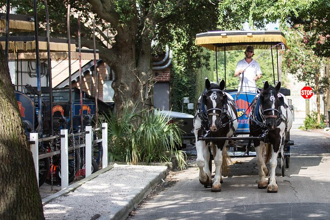 Evening Horse-Drawn Carriage Tour of Downtown Charleston - Carriage Capacity and Accessibility