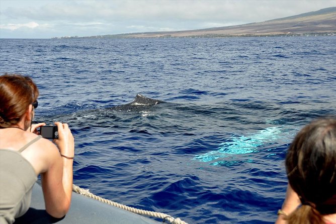 Eye-Level Whale Watching Eco-Raft Tour From Lahaina, Maui - Age Restrictions