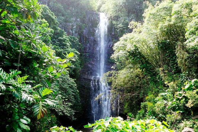 Famous Road to Hana Mercedes Van With Waterfalls, Black Sand Beach & Lunch - Tour Company and Reviews