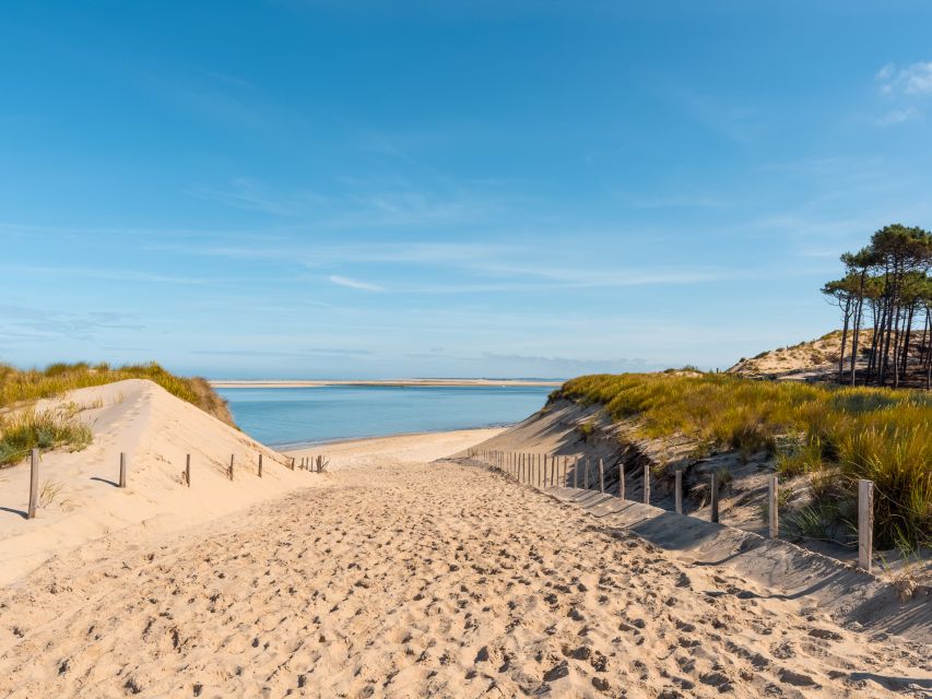 From Bordeaux: Arcachon and Pilat Dune Private Tour - Pickup and Transportation