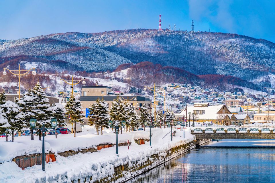 From Sapporo: 10-hour Customized Private Tour to Otaru - Group Size and Accommodations