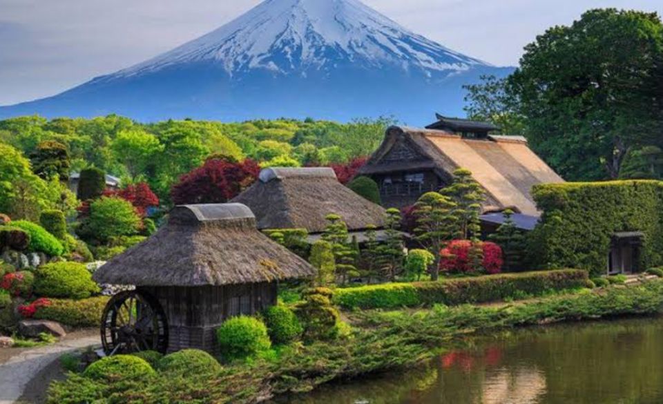 From Tokyo: Mount Fuji Full Day Private Tours English Driver - Booking and Cancellation Policy