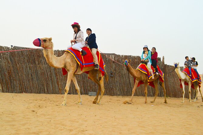 Full-Day Guided Red Dunes Desert Tour in Dubai With Camel Ride - Pickup and Drop-off Service