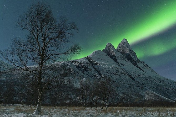 Full-Day Northern Lights Trip From Tromsø - Capturing the Aurora