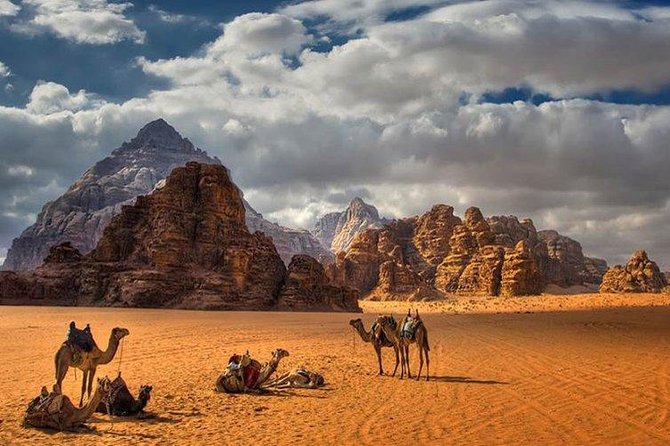 Full-Day Private Trip To Petra, Wadi Rum - Reviews and Ratings