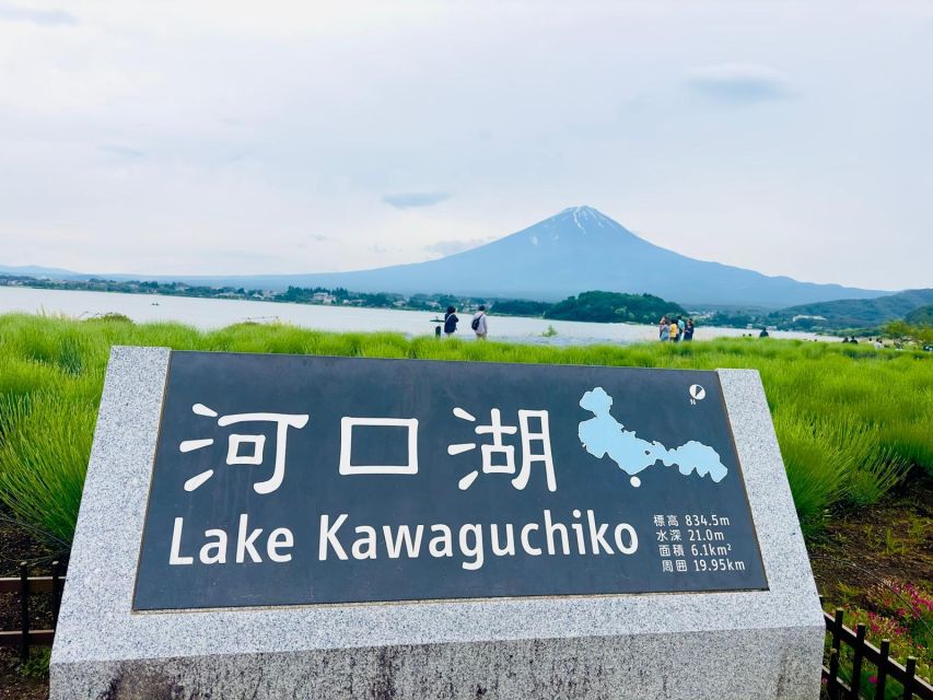 Full Guided One Day Trip for Mount Fuji Japan - Accessibility