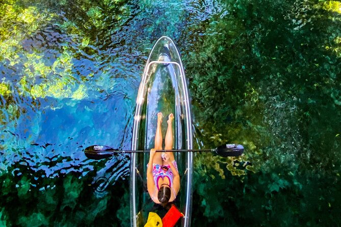 Glass Bottom Kayak Tours of Silver Springs - Guided Experiences