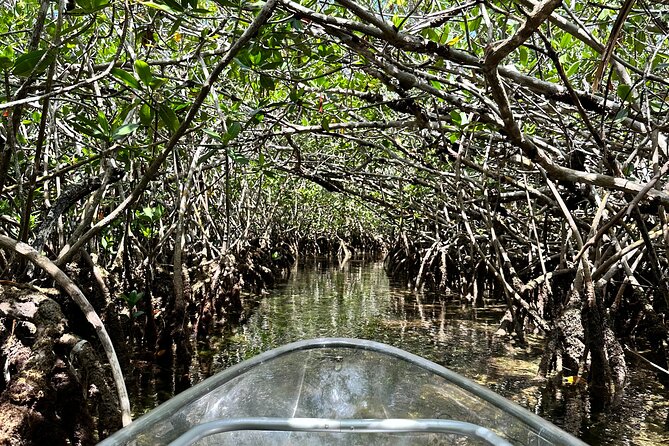 Guided Clear Kayak Eco-Tour Near Key West - Cancellation and Refund Policy