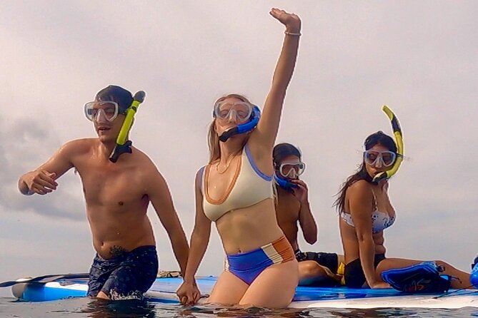 Guided Snorkeling Tour for Non-Swimmers Wailea Beach - Tour Group Size and Capacity