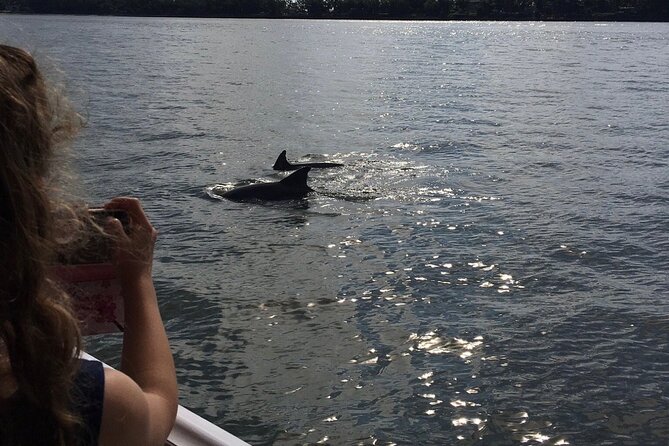 Hilton Head Island Dolphin Boat Cruise - Reviews and Ratings