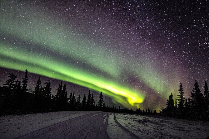 Incredible Aurora Viewing Adventure - Capturing the Aurora Borealis