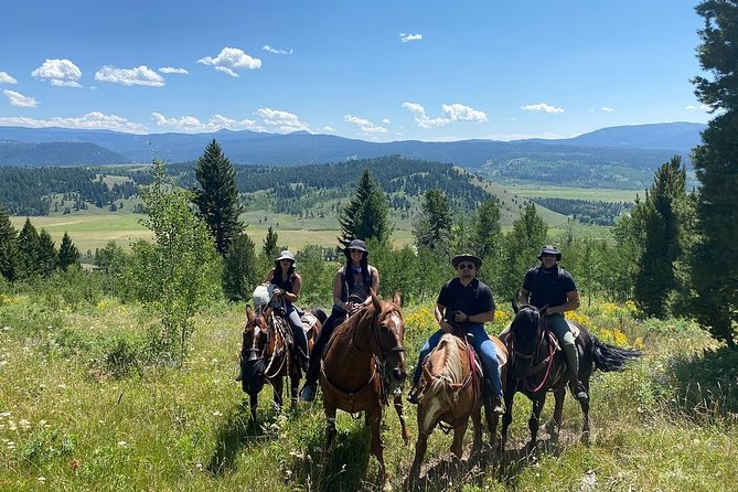 Jackson Hole Horseback Riding in the Bridger-Teton National Forest - Customer Reviews and Ratings