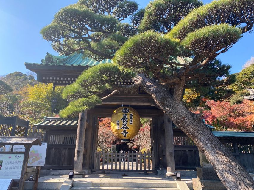 Kamakura & Yokohama: Highlight Tour in English - Frequently Asked Questions