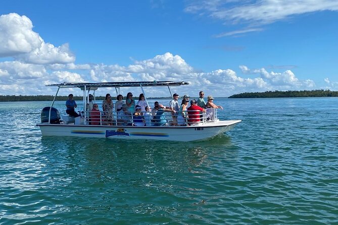 Marco Island Dolphin Sightseeing Tour - Accessibility and Parking